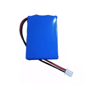 High Quality battery for JERRY-II
