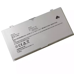 Original battery for PZ 306011411501 306011411502